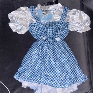 Blue and White Dorothy Costume Dress with Puff Sleeves